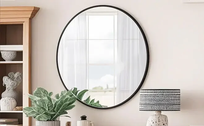 Everly Quinn Hermien Round Bathroom Mirror